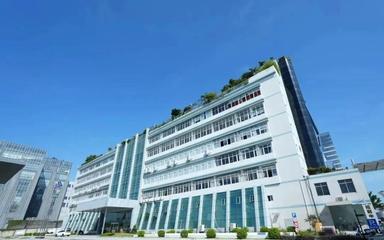 智谋纪16款AI照明灯具荣获TÜV南德ETSI EN 303 645认证，树立物联网安全新标杆