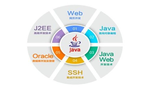 从入门到退坑 IT行业五大岗位全解析，软件开发是否最赚钱？