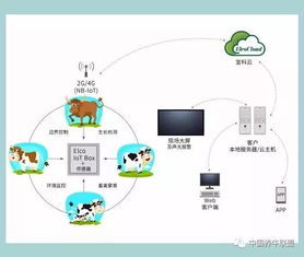 一个你不知道的神器！不了解它，连牛羊都不让你养，你还谈什么智慧养殖？